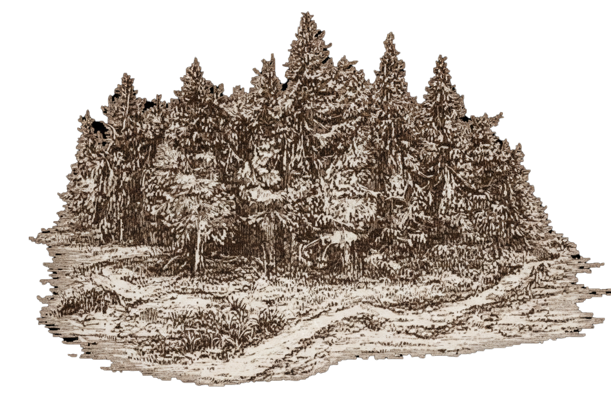 image de background d'un élément cartographique