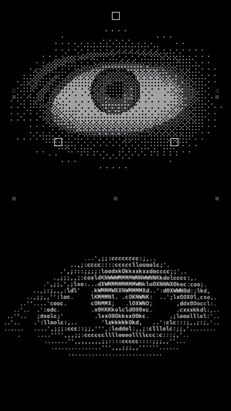 Photo en ascii de deux yeux humains